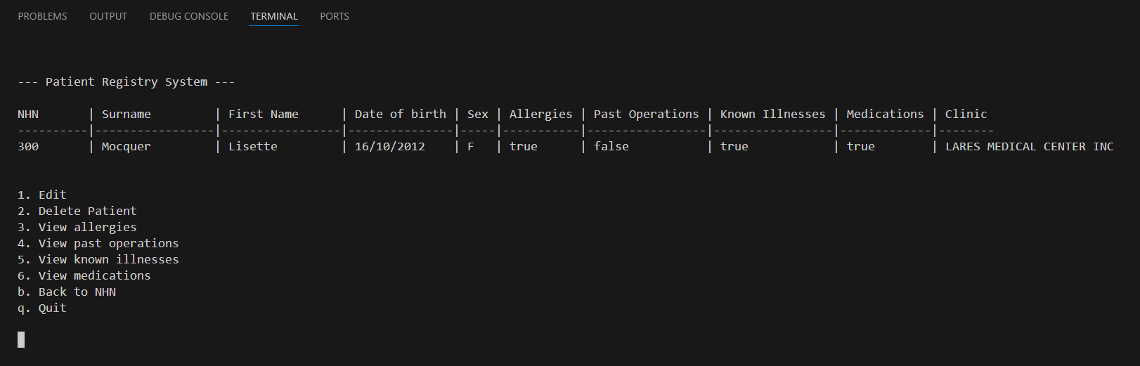 Screenshot of a program with a table containing fake patient health records.